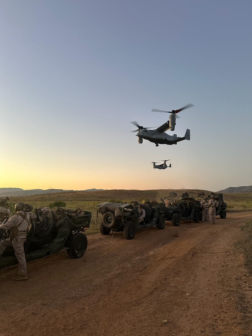 Osprey.jpg